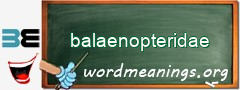 WordMeaning blackboard for balaenopteridae